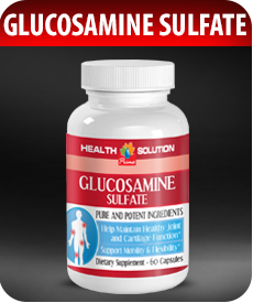 Glucosamine Sulfate by Vitamin Prime